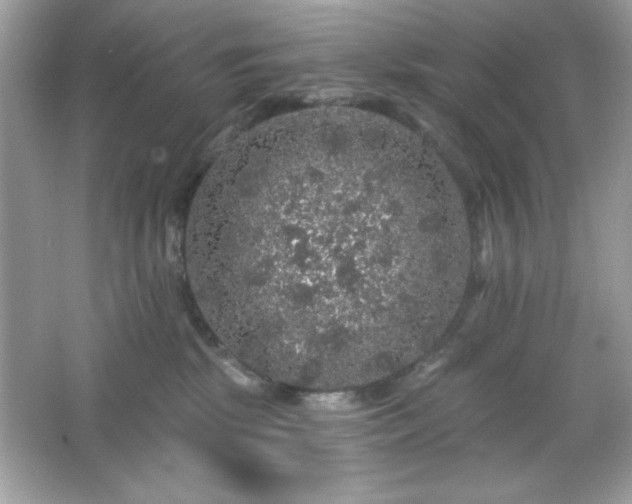 X0000066490281200603201305
