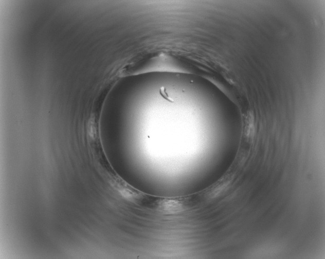 X0000066490287200603201305