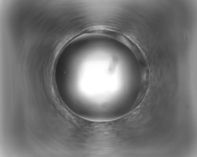 X0000066490289200603201304