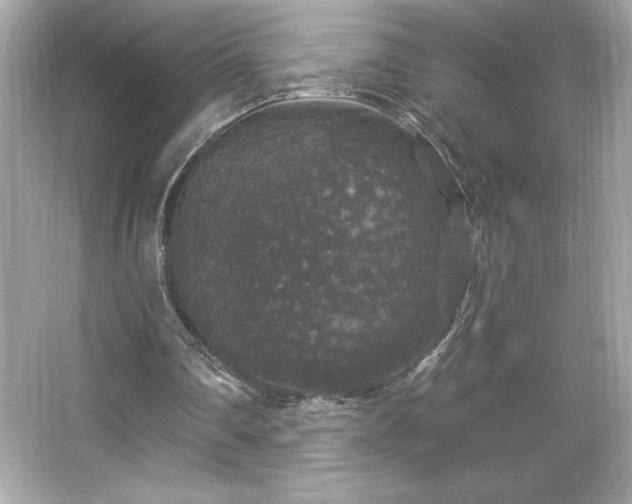X0000066490290200603201304