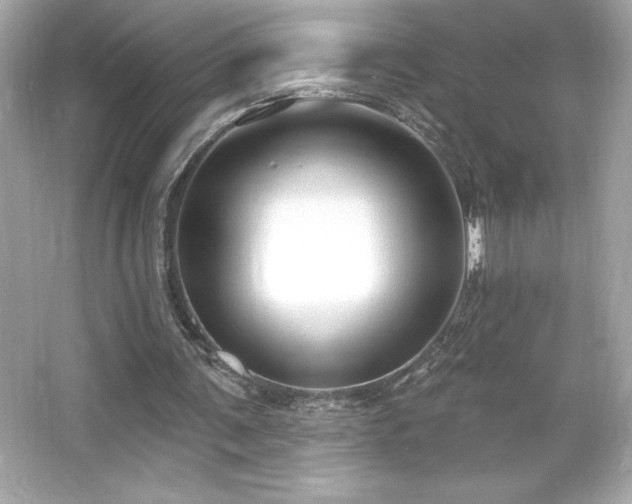 X0000066490291200603201304