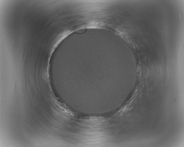 X0000066490292200603201304