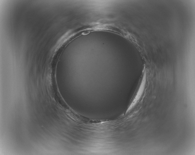 X0000066490295200603201304