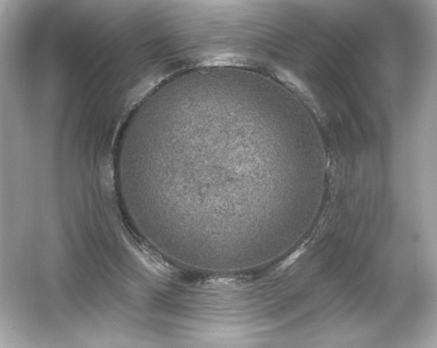 X0000066490298200603201304