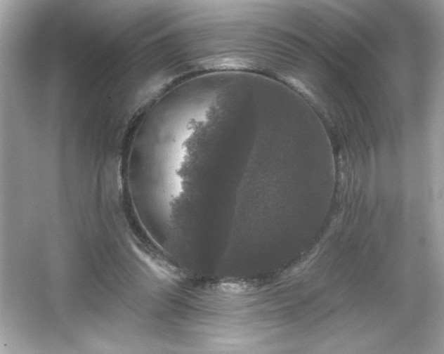 X0000066490302200603201304