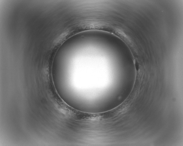 X0000066490306200603201304