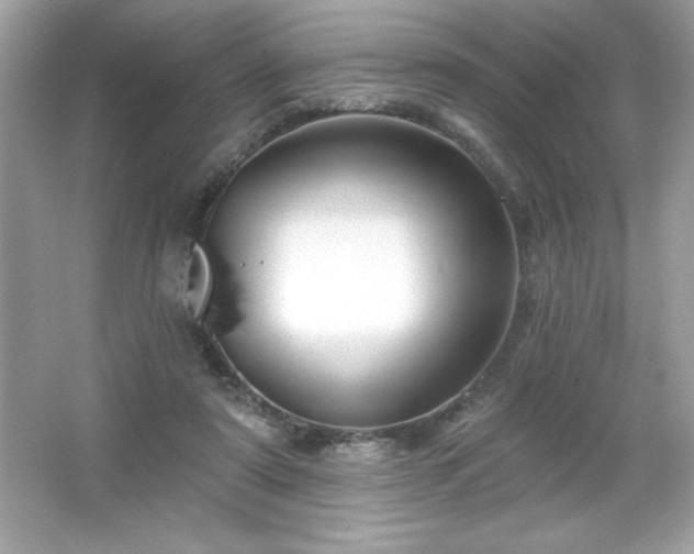 X0000066490307200603201304