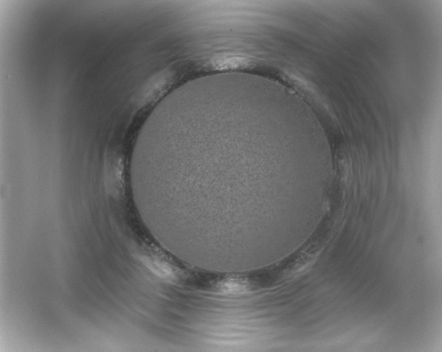X0000066490308200603201304