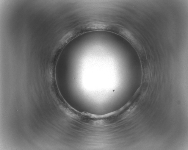 X0000066490309200603201304