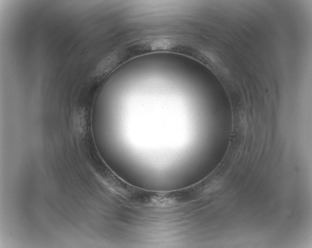 X0000066490311200603201304
