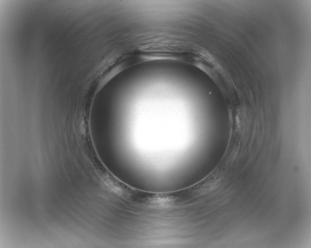 X0000066490313200603201304