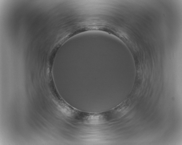 X0000066490314200603201304