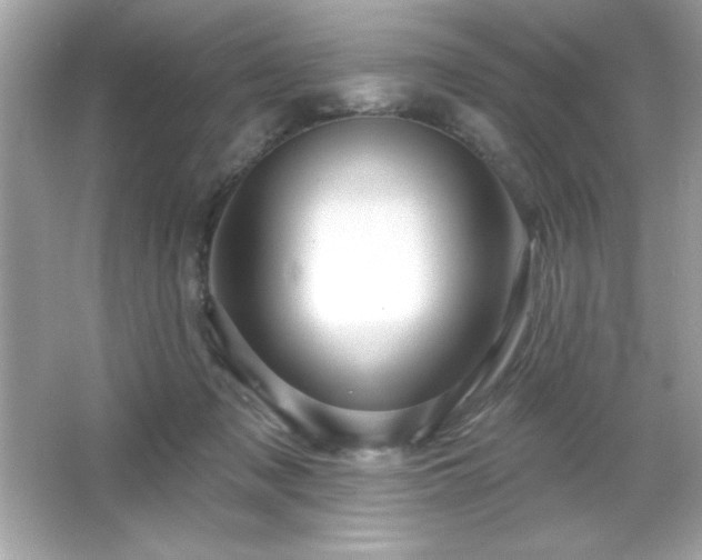 X0000066490317200603201304