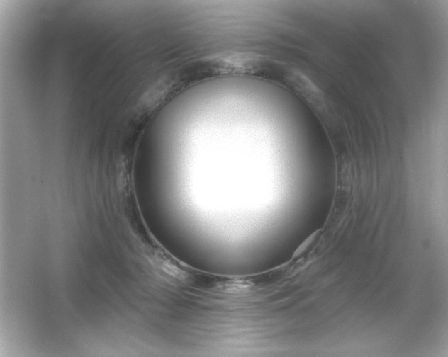 X0000066490318200603201304