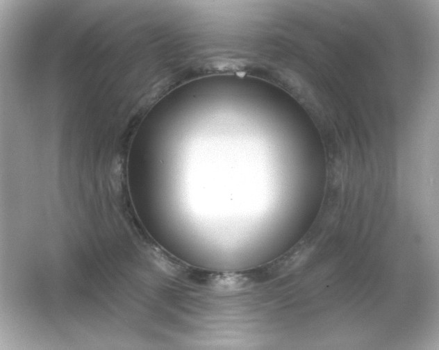 X0000066490321200603201304