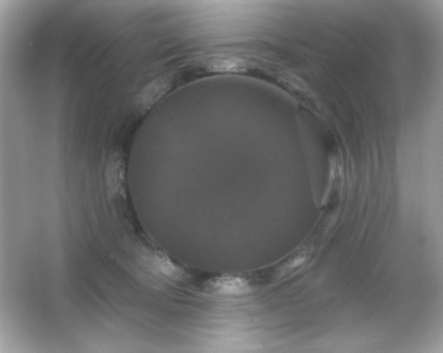 X0000066490322200603201304