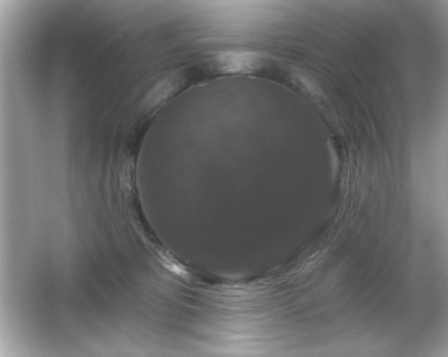 X0000066490325200603201303
