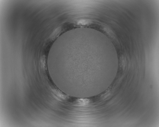 X0000066490328200603201303