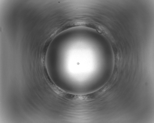 X0000066490329200603201303