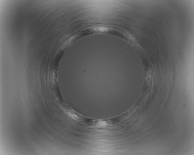 X0000066490330200603201303