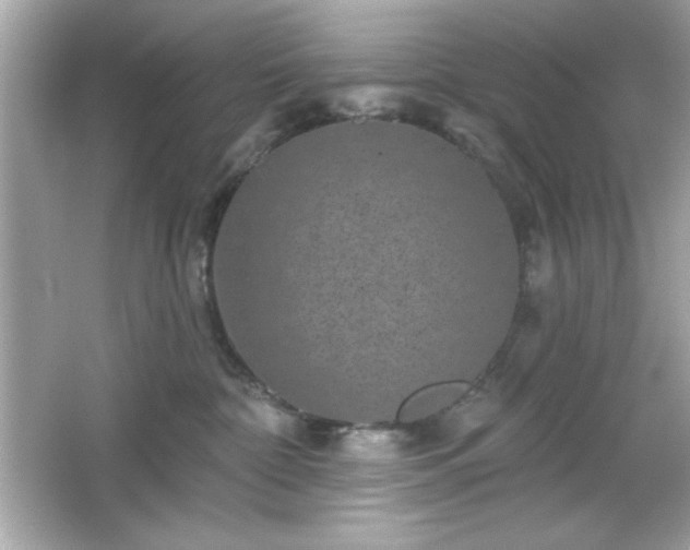 X0000066490332200603201303