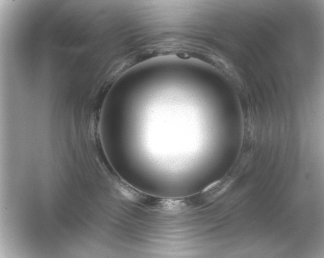 X0000066490333200603201303