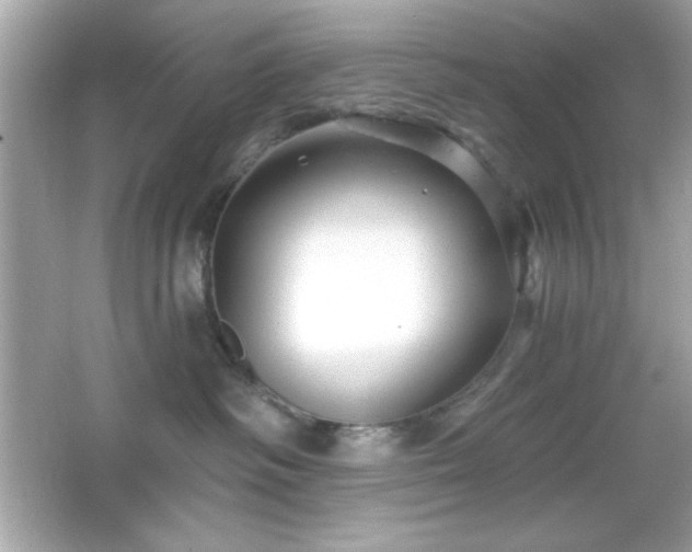 X0000066490334200603201303