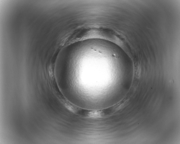 X0000066490335200603201303