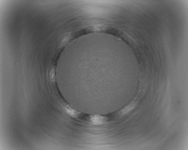 X0000066490336200603201303