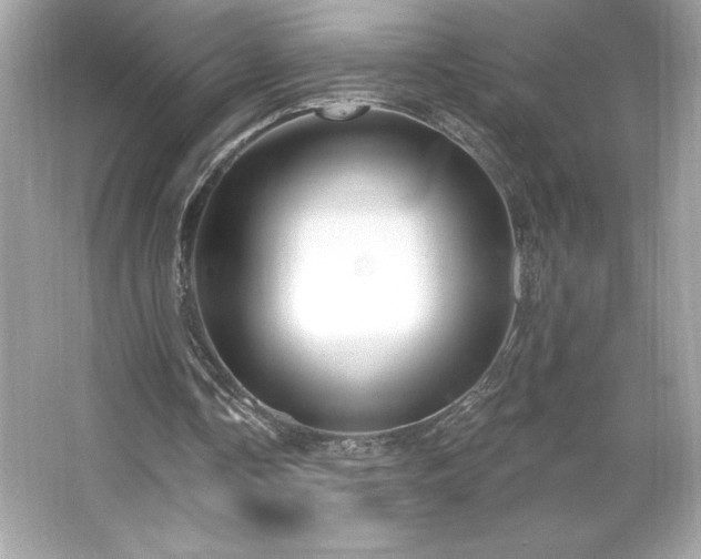 X0000066490338200603201302