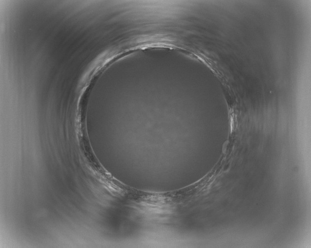 X0000066490339200603201303