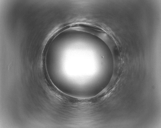 X0000066490344200603201303