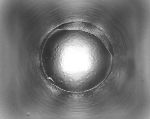X0000066490345200603201303