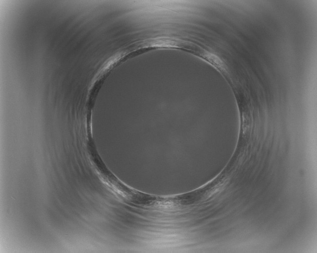 X0000066490349200603201303