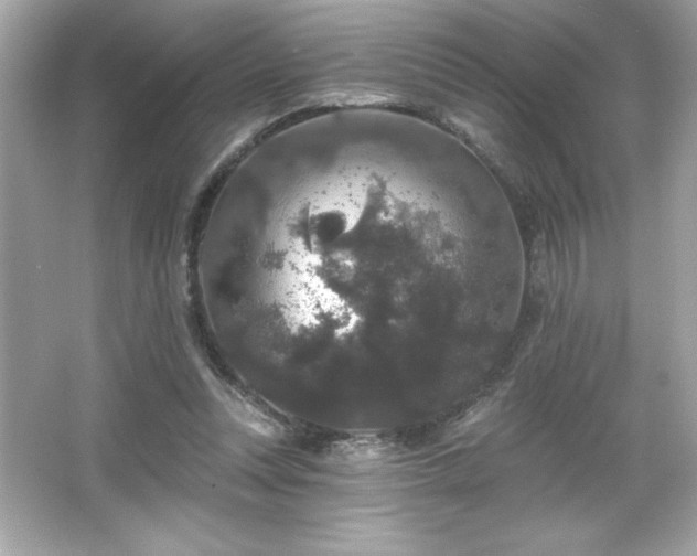 X0000066490351200603201303