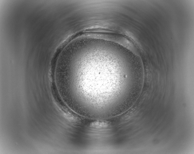 X0000066490354200603201303