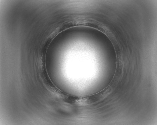X0000066490362200603201303