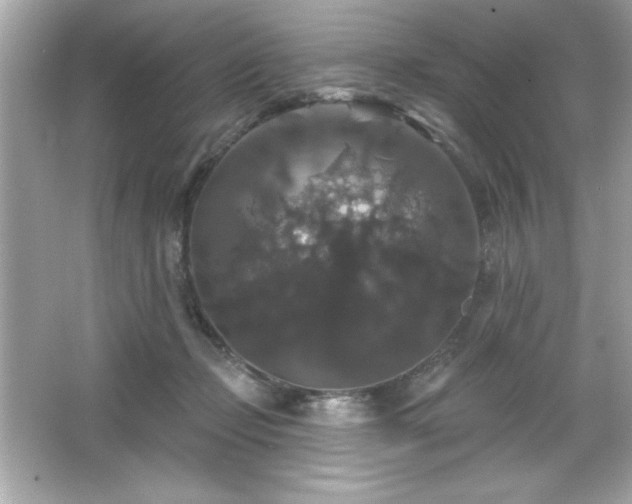 X0000066490365200603201303