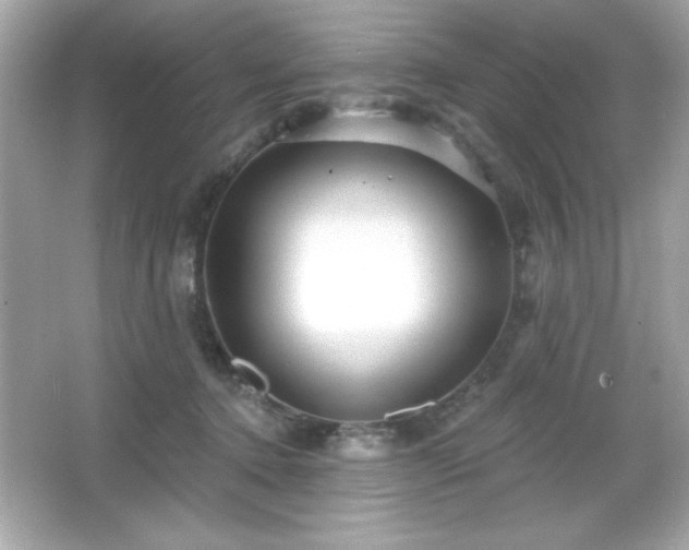 X0000066490368200603201303