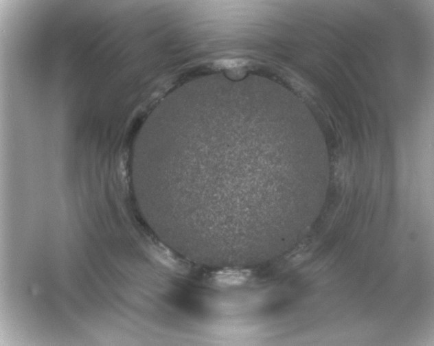 X0000066490373200603201303