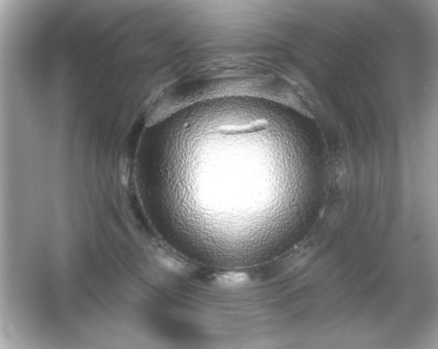 X0000066490374200603201303