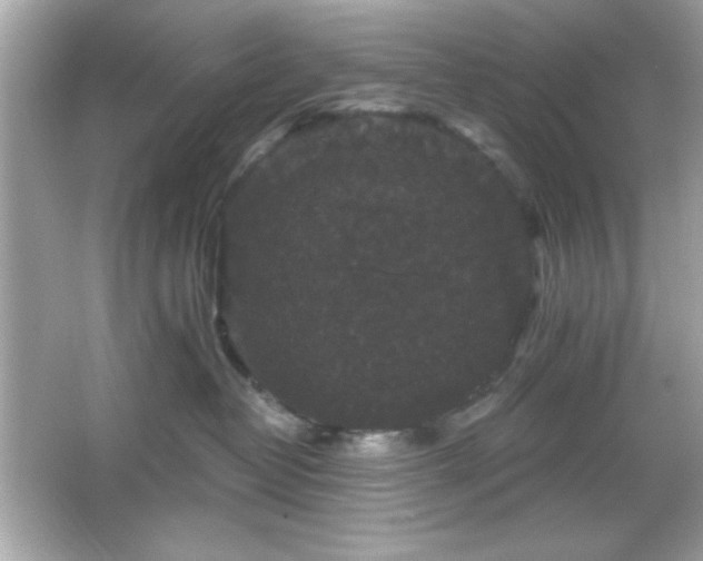 X0000066490382200603201303