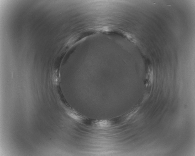 X0000066490383200603201303