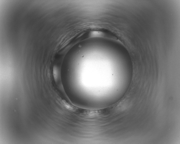 X0000066490384200603201303