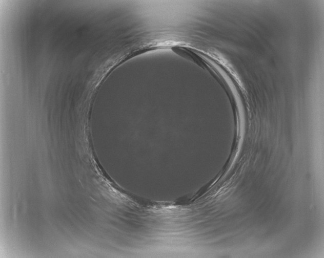 X0000066490385200603201302