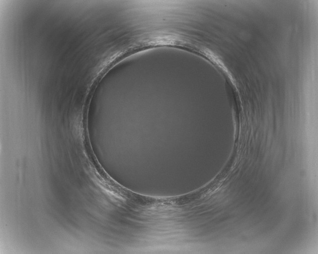 X0000066490386200603201302