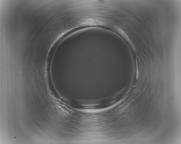 X0000066490387200603201302