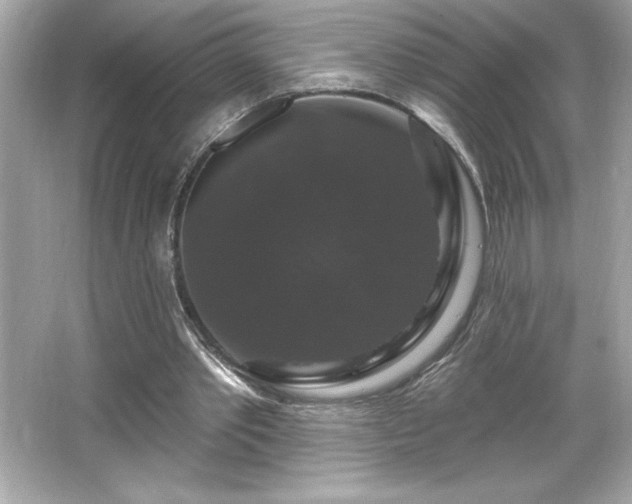 X0000066490389200603201302