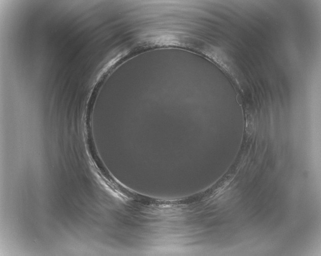 X0000066490390200603201302