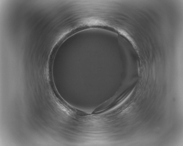 X0000066490391200603201302